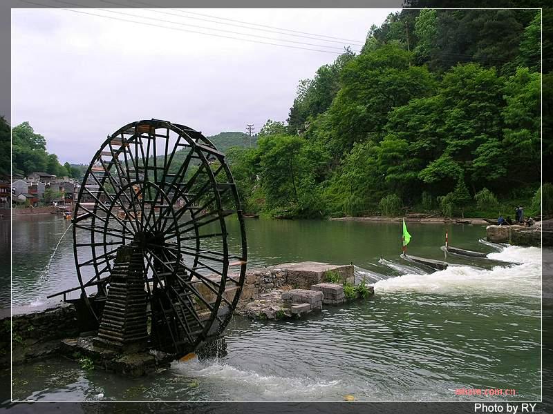 fenghuang1.jpg