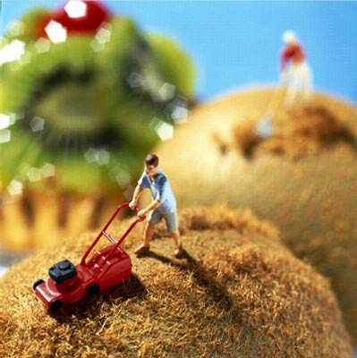 foodworld3.jpg