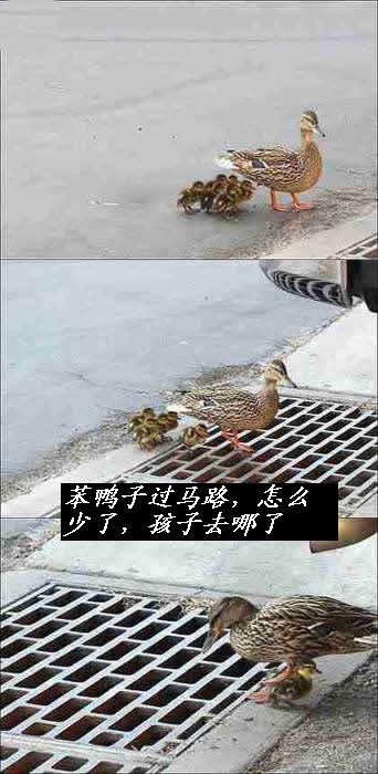 粗心的妈妈.jpg