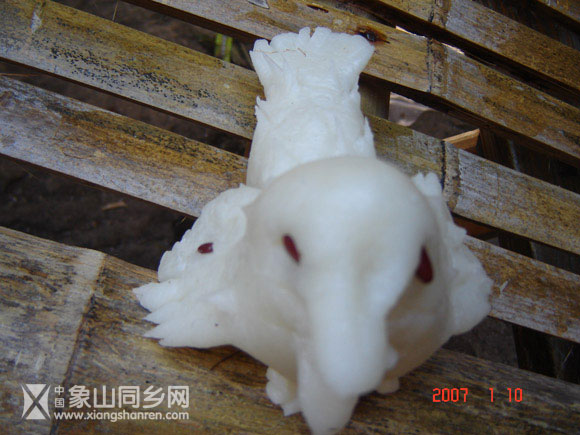 象只小鸟.jpg