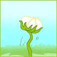 1036-016-12-1068.gif