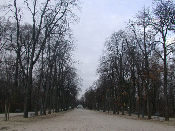 1094016-parma-1-embed.jpg