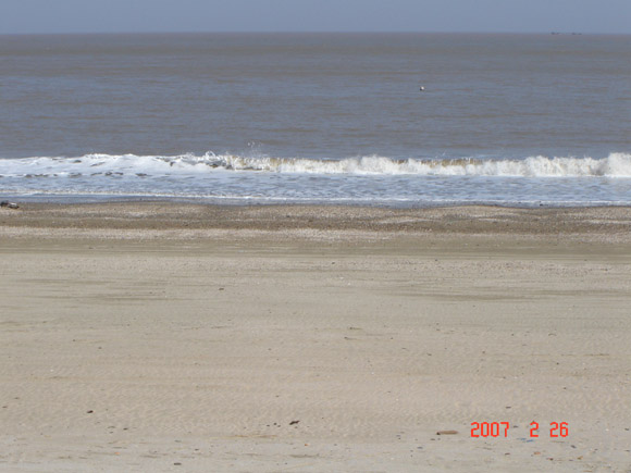 DSC01523.jpg