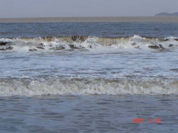 DSC01528.jpg