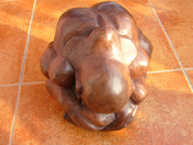 P1020486.JPG