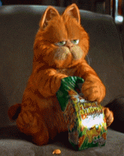 2006819163411.gif