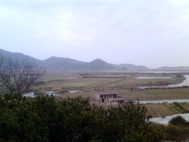 IMG0026A.jpg