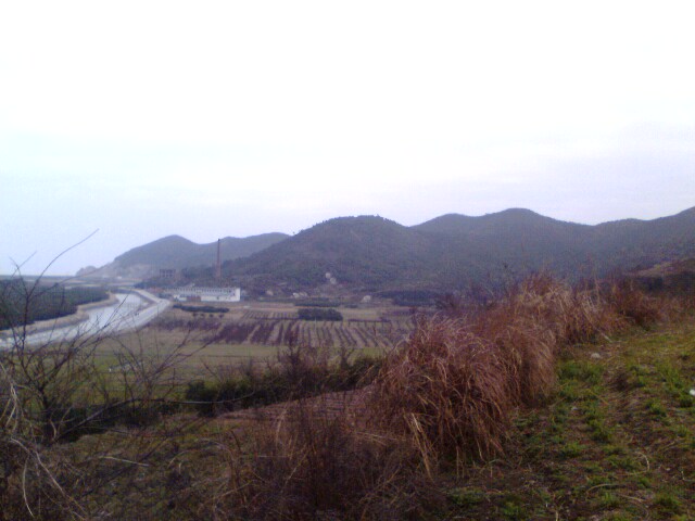IMG0028A.jpg