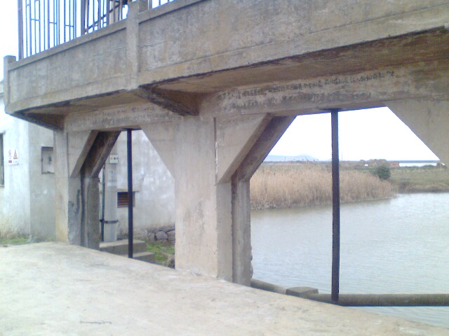 IMG0033A.jpg