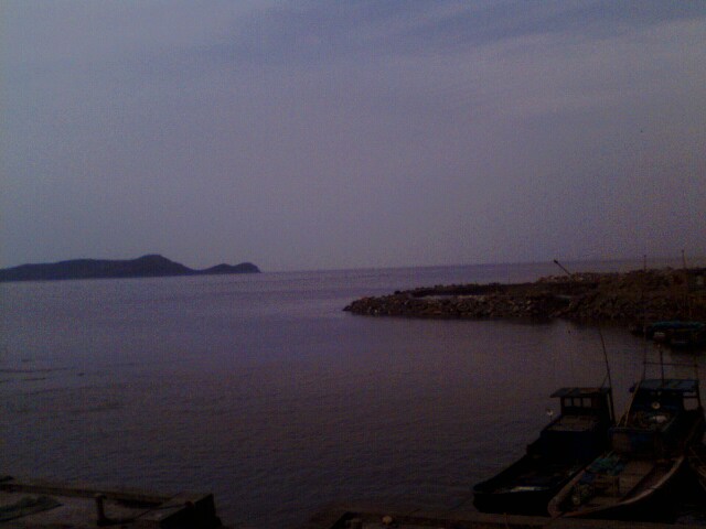 IMG0046A.jpg
