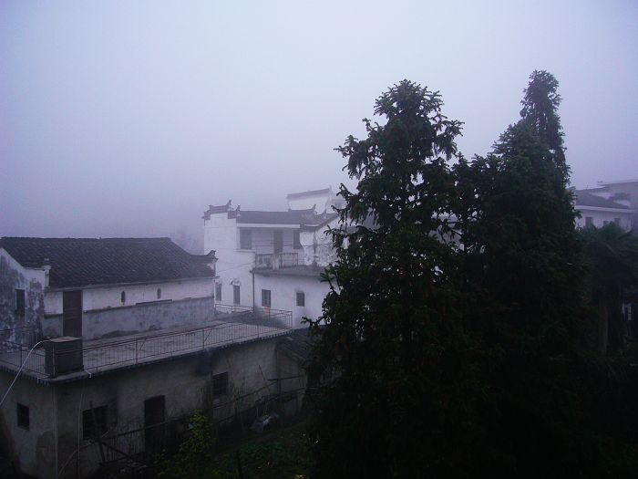 P1020841_nEO_IMG.jpg