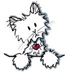 pocketcat.jpg