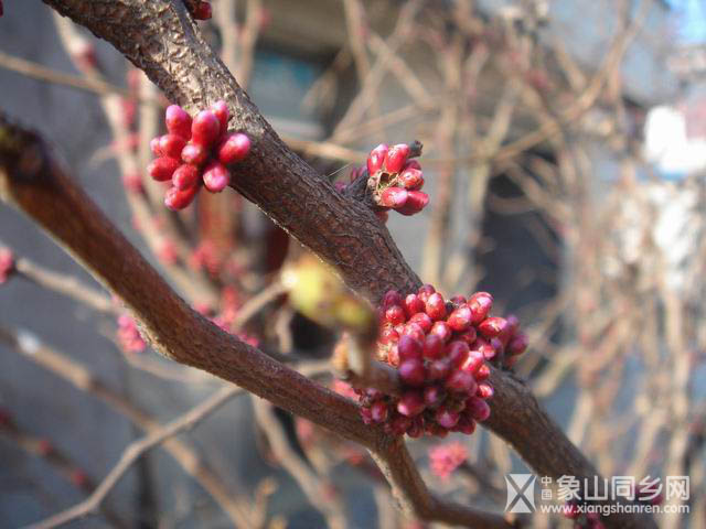 调整大小 DSC03402.JPG