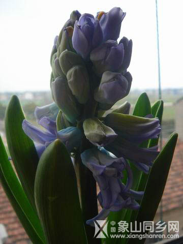 调整大小 DSC03408.JPG