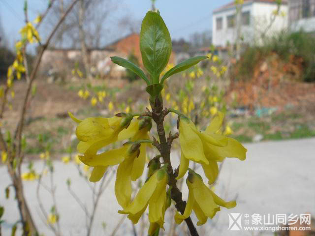 调整大小 DSC03388.JPG