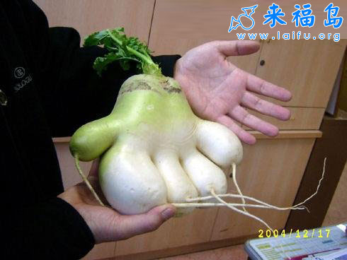 wtyytw==_CEkkHJ4wBQcH.jpg