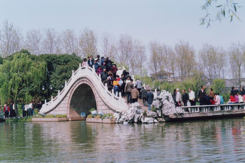 扬9.jpg