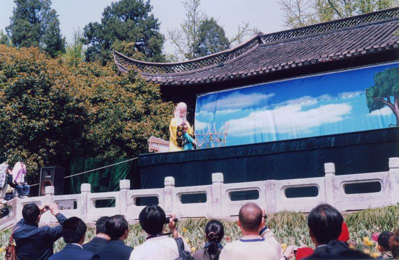扬14.jpg