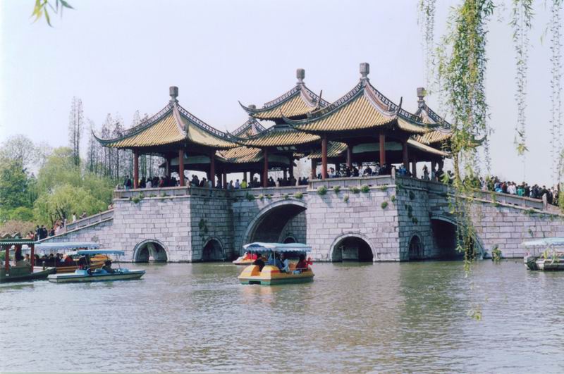 扬3.jpg