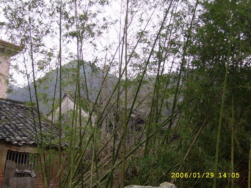 照片 080.jpg