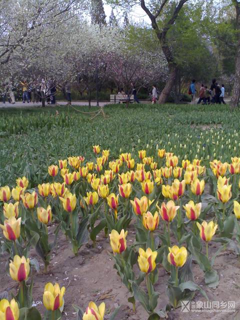 20070415216.jpg