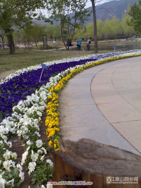 20070415226.jpg
