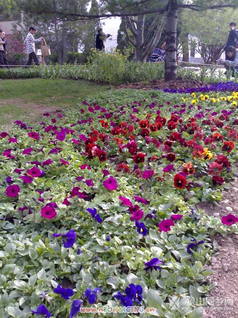 20070415232.jpg