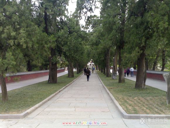 20070415269.jpg