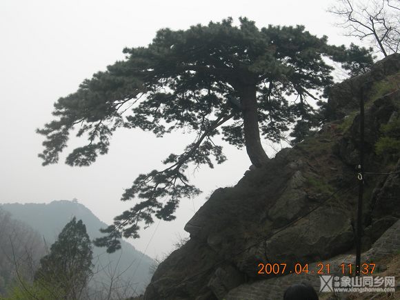 DSCN1724.jpg