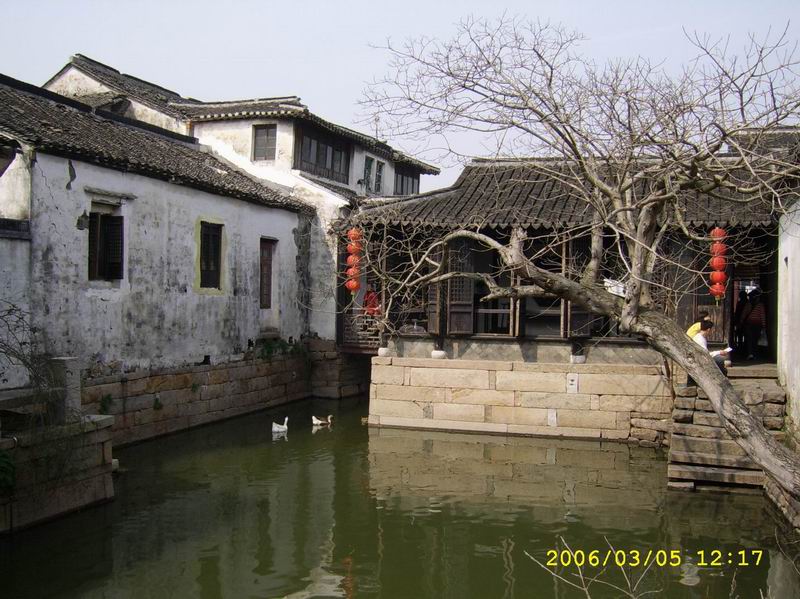 SSA40822.JPG