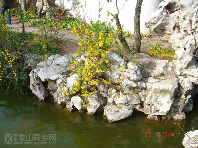 调整大小 DSC01931.JPG