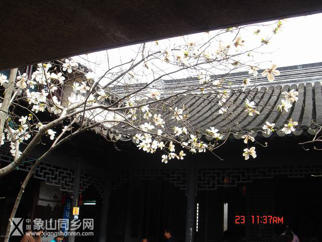 调整大小 DSC01959.JPG