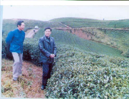 年轻的胡锦涛4.jpg