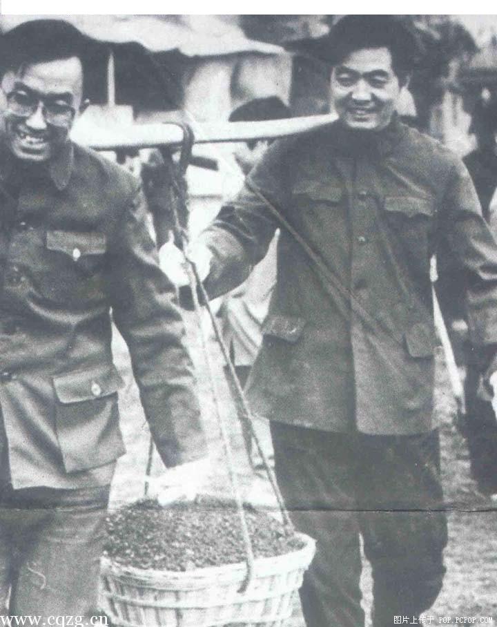 胡锦涛.jpg