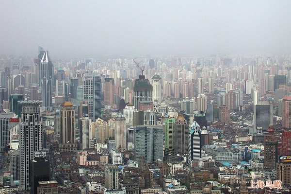 上海5.jpg