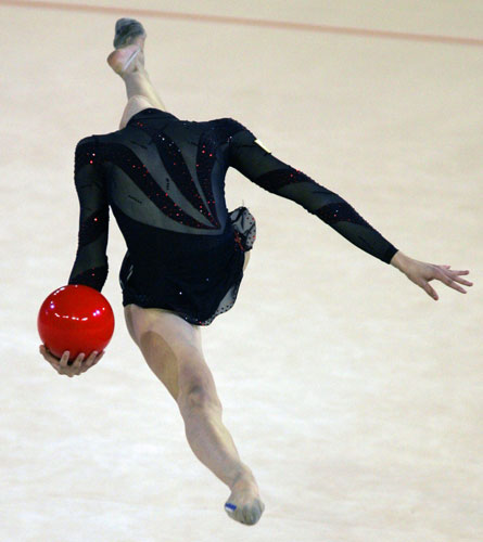9081587.jpg
