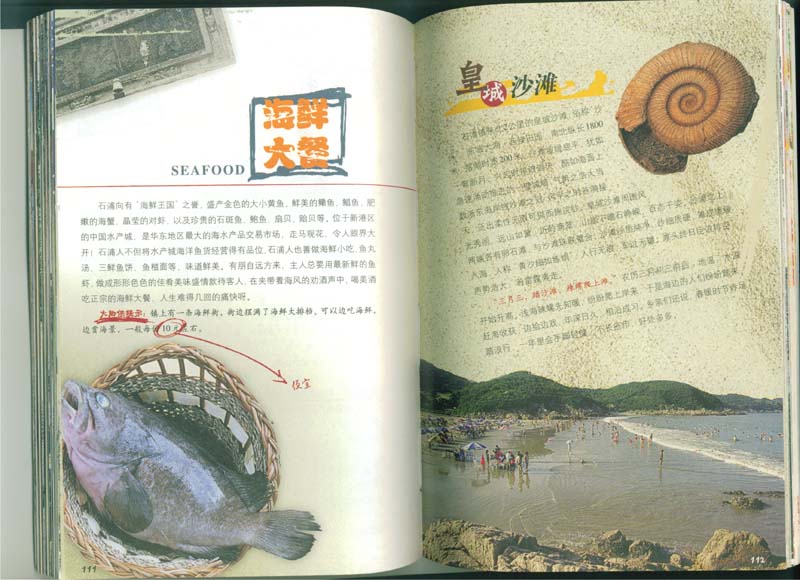 Image8.jpg
