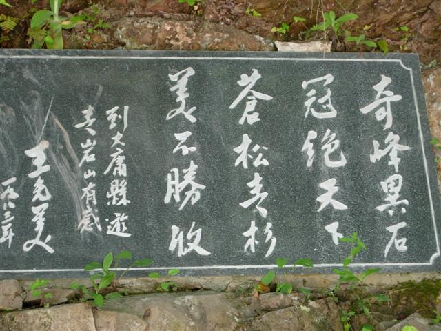王光美题字