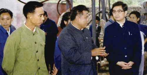 1986年，时任中共贵州省委书记的胡锦涛同志视察正安.gif