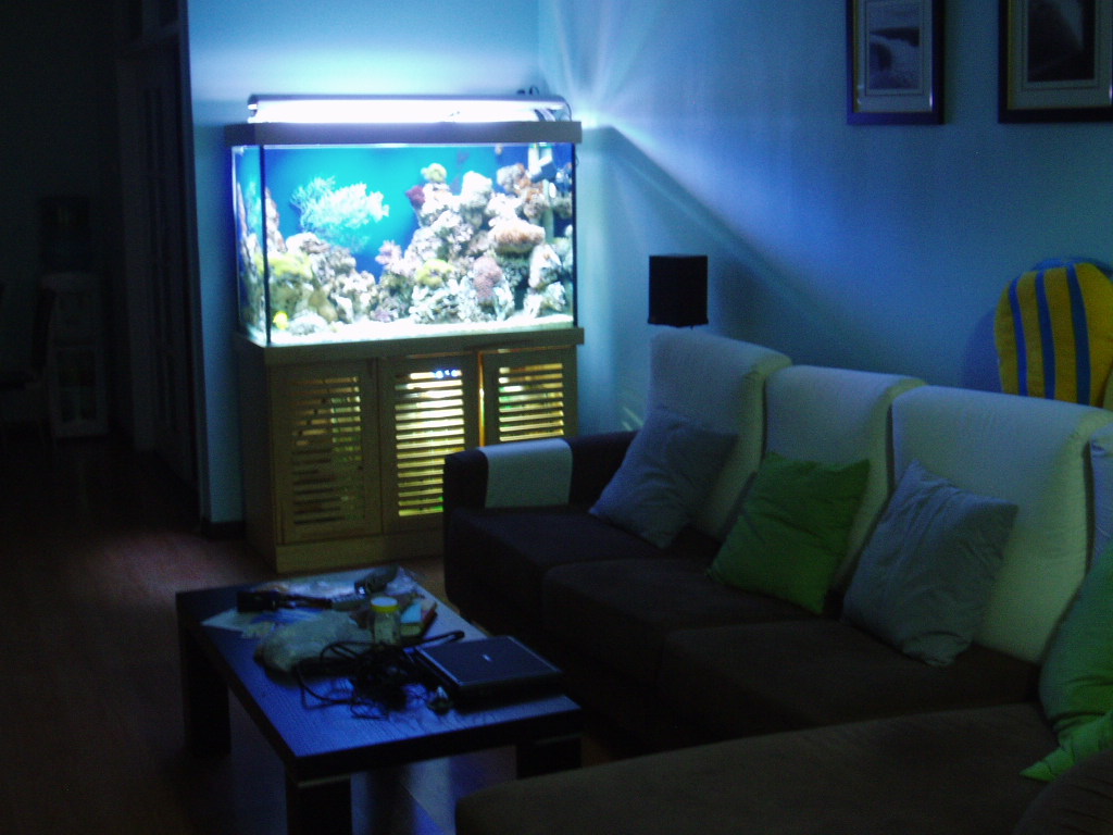 P1270009.JPG