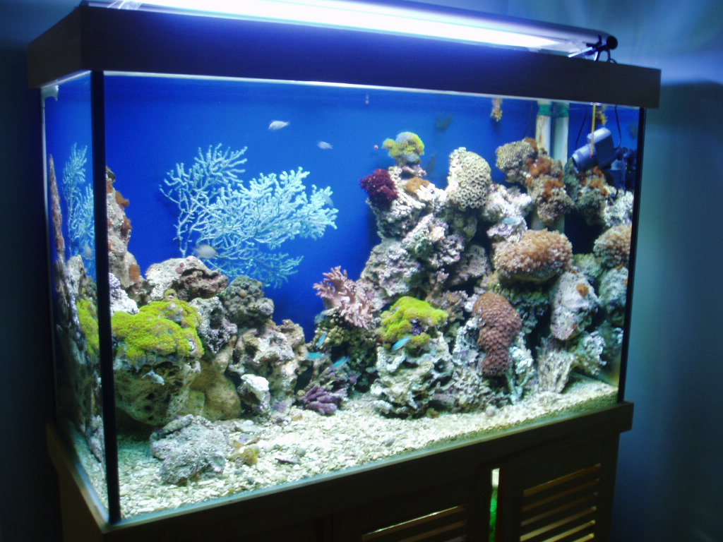 P1280054.JPG