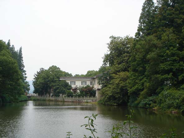 DSC01708.jpg