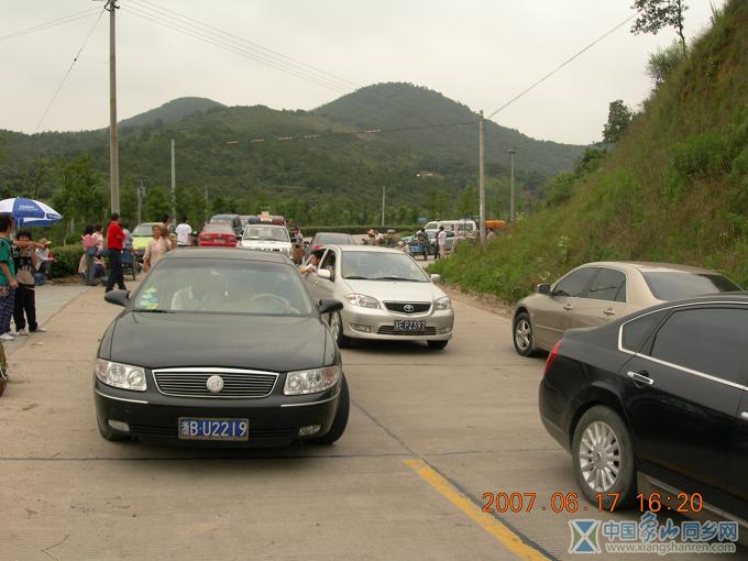 来摘杨梅的游客.jpg