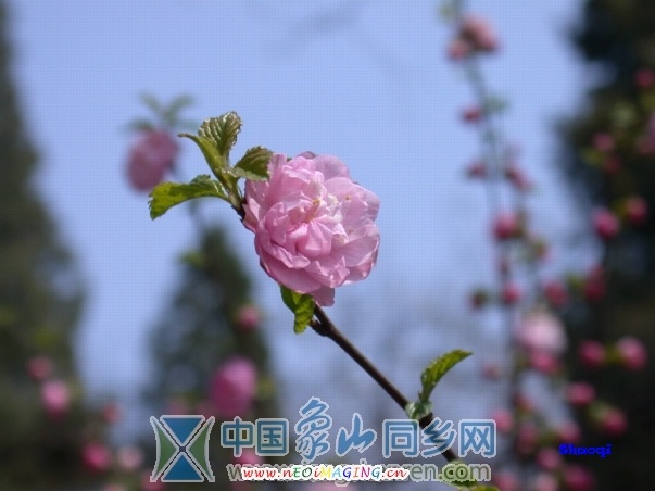 美好的开始!