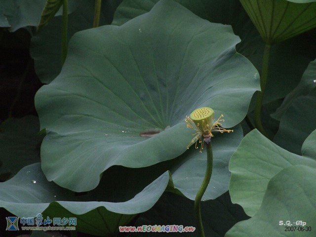 2007_0730北大00331.jpg