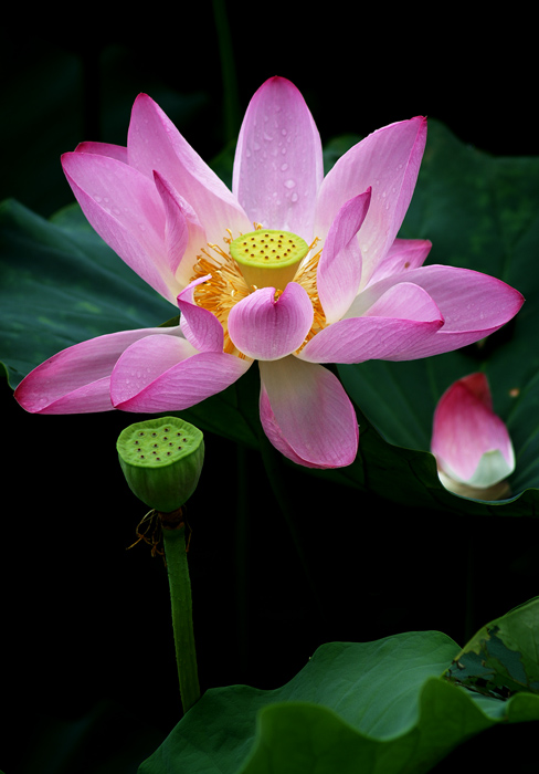 PICT2489.jpg