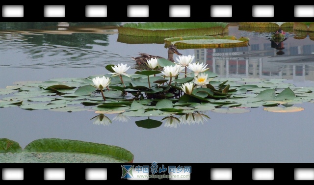 DSCF2705.jpg