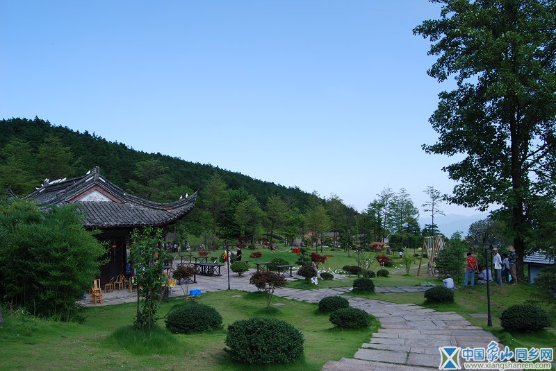 DSC_0017.jpg