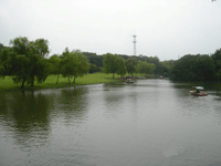 日月湖.gif