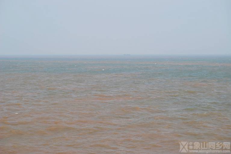 DSC_0010.jpg